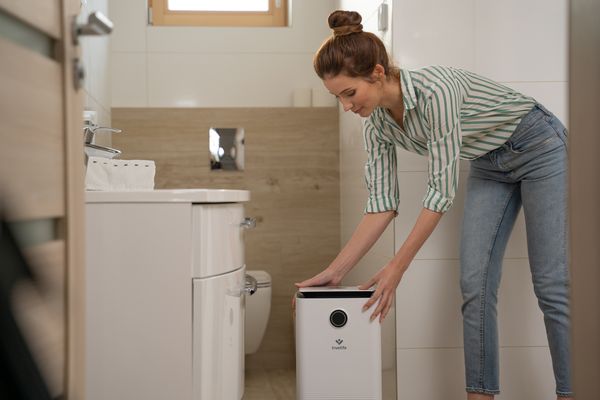 TrueLife Air Dehumidifier DH5 Touch