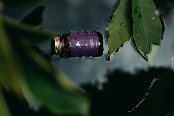 Naturlabs Glutathion liposomální 60 kapslí