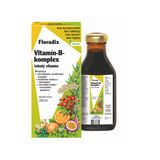 Salus Floradix Vitamin-B-komplex 250 ml