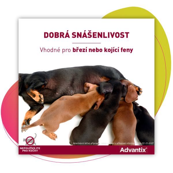 Advantix pro psy spot-on nad 25kg 4x4ml