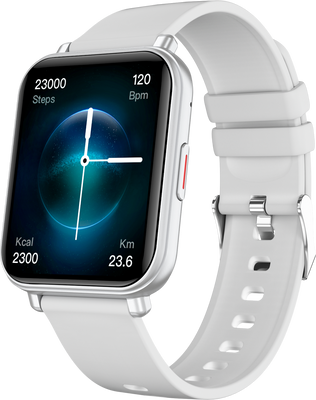 Niceboy Watch 4 Artic silver