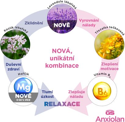 GS Anxiolan s levadulí 60 tablet