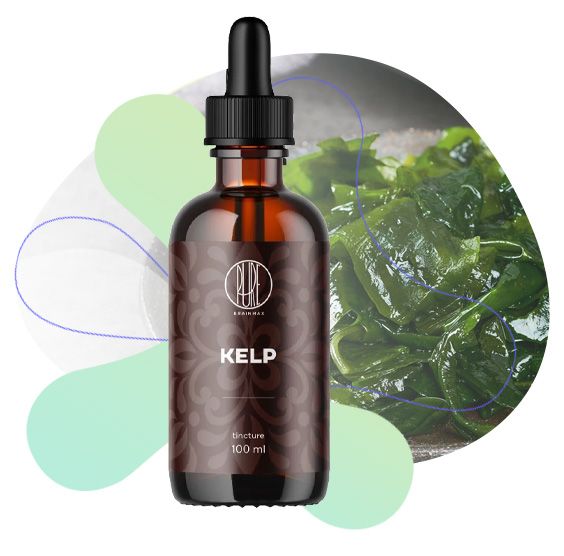 Kelp, normální funkce střevního traktu, tělesná hmotnost, štítná žláza