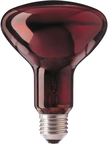 Sanitas Žárovka k infralampě 100 W