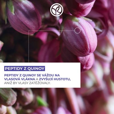 Yves Rocher Šampon pro větší objem vlasů s peptidy z quinoi 300 ml