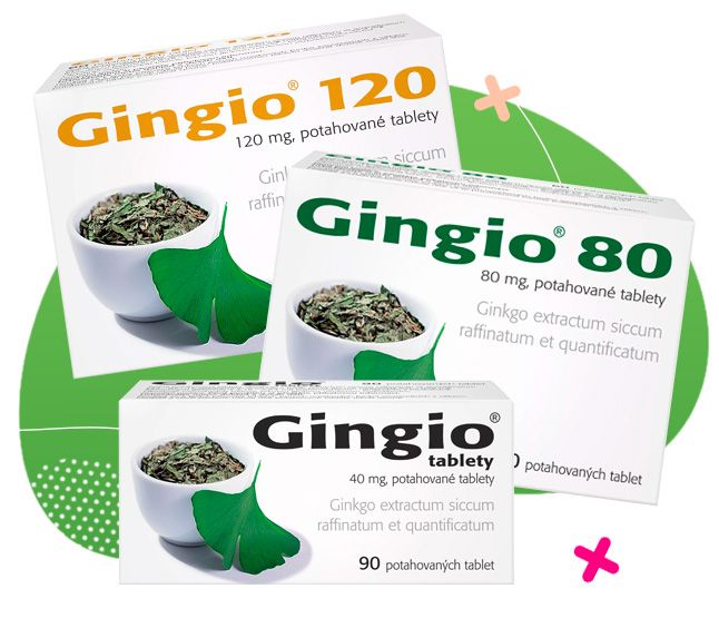 gingio, mozek, paměť, zapomínání, prokrvení mozku