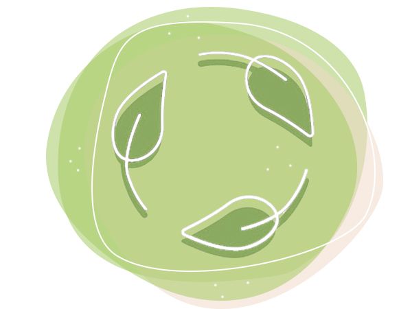 obr