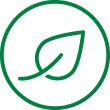 byliny