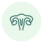 ikona