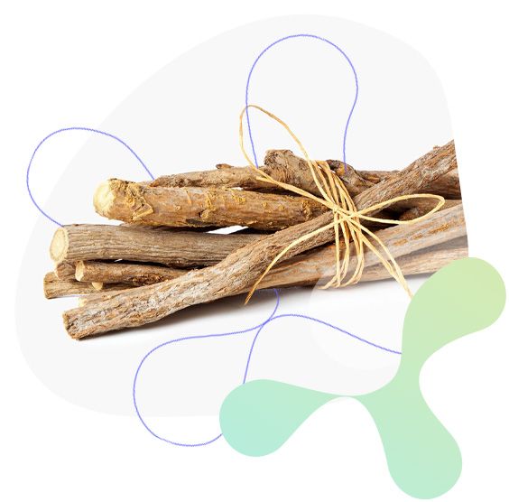 Lékořice, trávení, imunitní systém, duševní zdraví, močový a reprodukční systém
