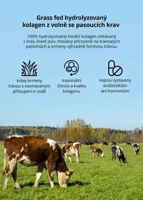 Venira Hydrolyzovaný kolagen grass fed 80 ks