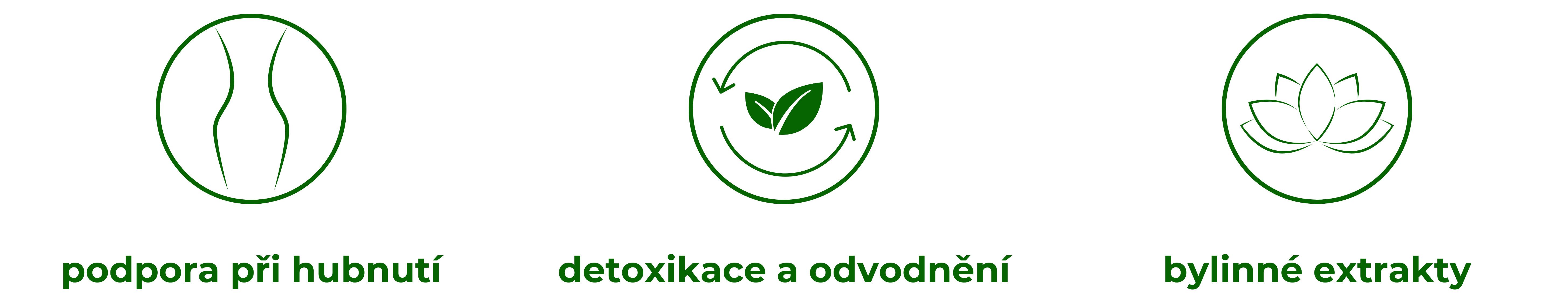 hubnutí a udržení hmotnosti, detoxikace, podpora vitality a energie