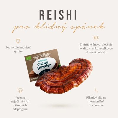 Four Sigmatic Reishi Mushroom Cacao Mix BIO 10 x 6 g
