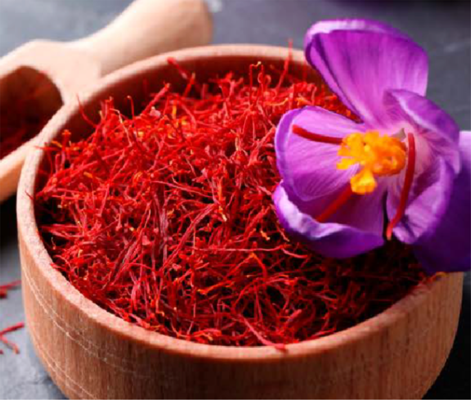 Eric Favre CHRONOERECT + EXTRA FORT 4 kapslí