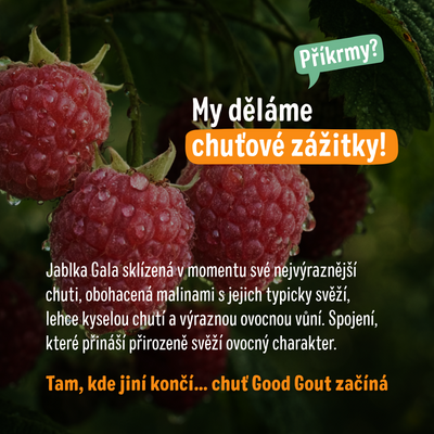 Good Goût BIO Jablko s malinou 120 g