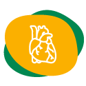 kurkuma