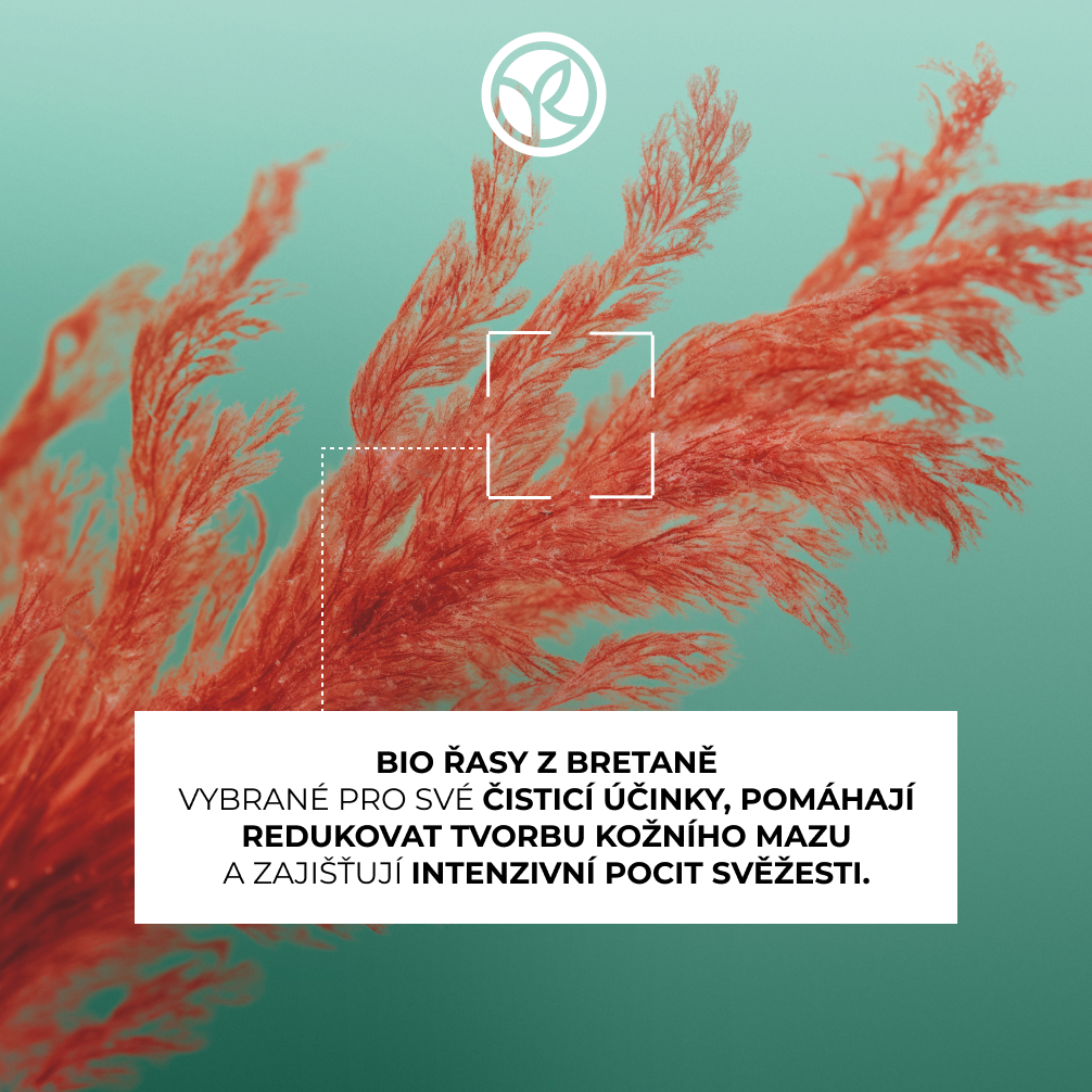Yves Rocher Pureté, Detoxikační šampon 300 ml