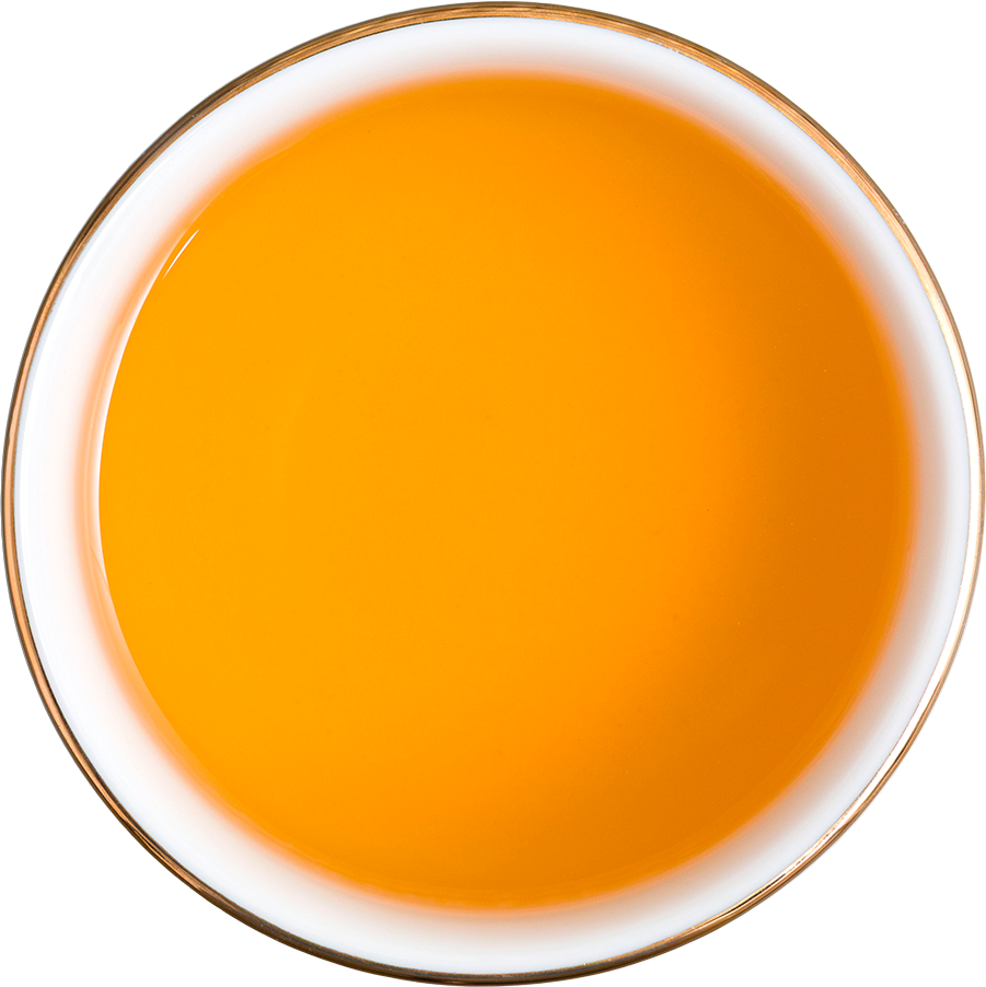 Basilur Herbal Immunity přebal 20 x 1.5 g