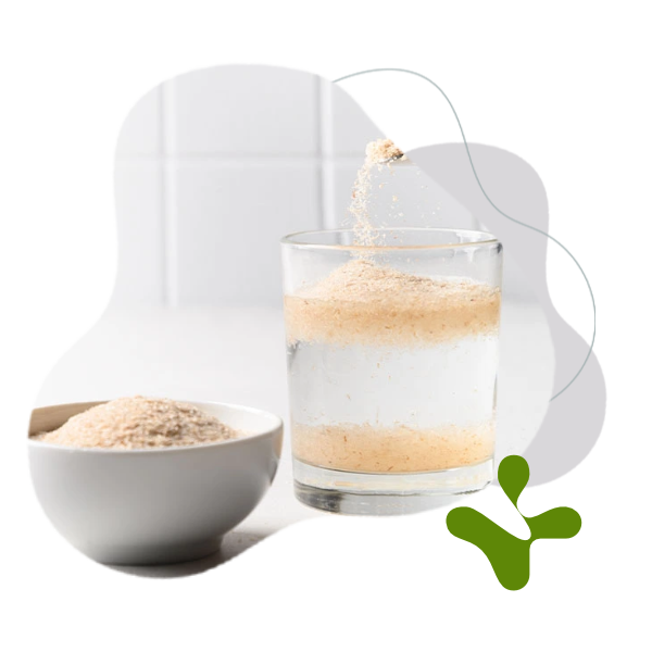 BrainMax Pure Psyllium