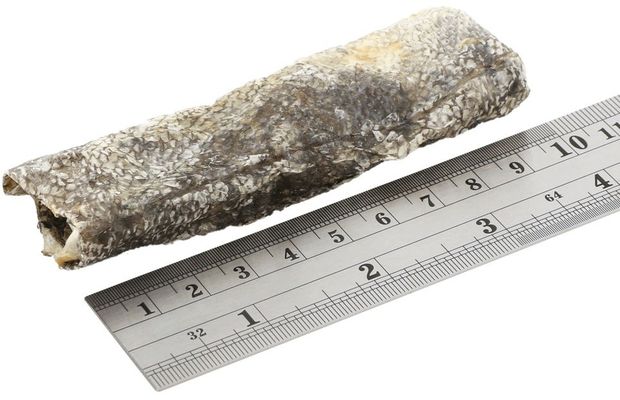 Fish4Dogs Dentální pamlsky pro psy mořská ryba - proužky 100 g