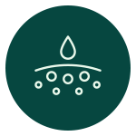 ikona