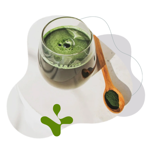 BrainMax Pure Chlorella Powder 150 g