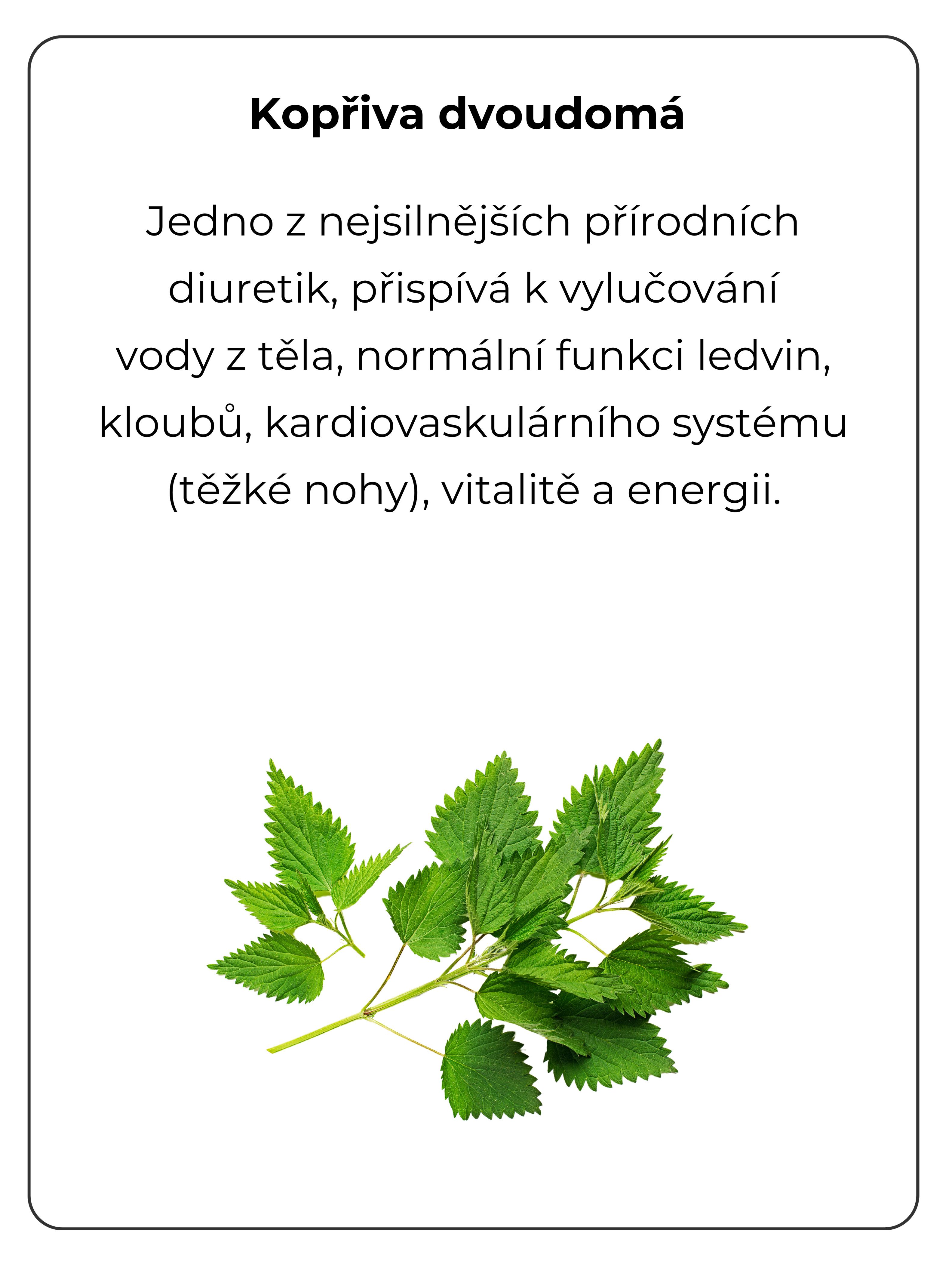 hubnutí a udržení hmotnosti, detoxikace, podpora vitality a energie