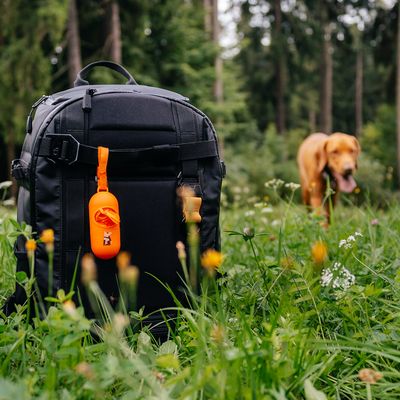 Explorer dog Zásobník s 1 rolí