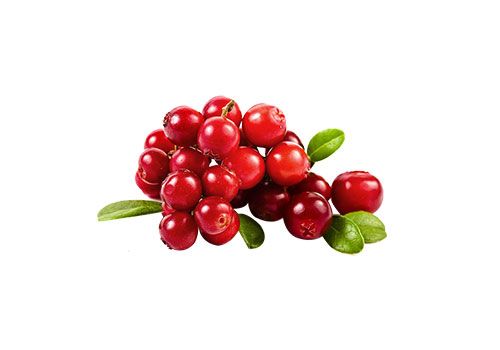 Beauty food rituals, Evelin, denní a noční výživný krém, vegan, vegetarian , 95% přírodní složení, vyživuje epidermis, chrání před nečistotami, Mandle, avokádo, dýně, brusinka, malina