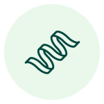 ikona