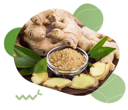 GreenFood Nutrition, metabolismus, aktivita, životní styl, tělesná hmotnost