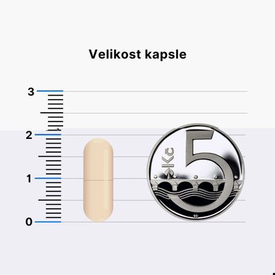 BrainMax N-Acetyl-L-Cysteine 100 kapslí