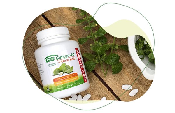 ginkgo biloba, pamäť
