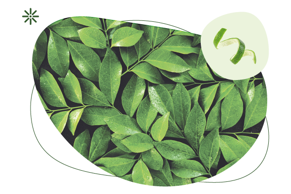 Bio, detox, detoxikační maska, spirulina, chlorella, purity vision, čajovník, limetková kůra