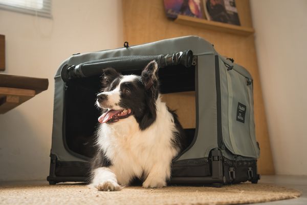 FIKAGO Skládací kennel přepravka Queen S Grey
