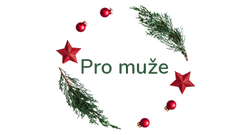 elektro pro muze