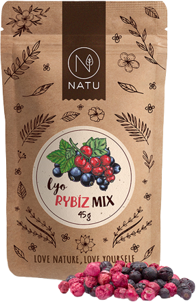 Natu Lyo mix rybíz 45 g