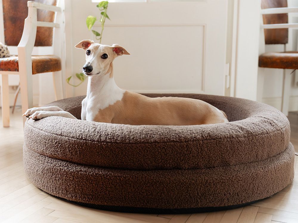 Explorer dog Pelech ortopedický Dognut Espresso Brown 76 cm