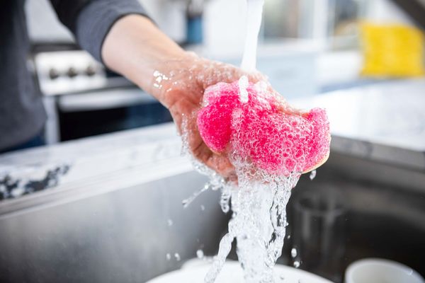 Scrub Daddy Scrub Mommy, Pink Single, Houbička růžová
