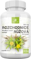 Allnature Rozchodnice růžová 500 mg 60 kapslí