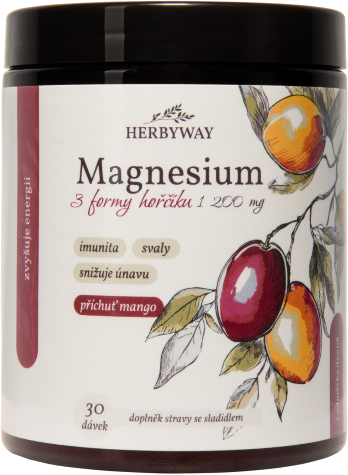 Herbyway Magnesium 3 formy hořčíku 1 200 mg 170 g
