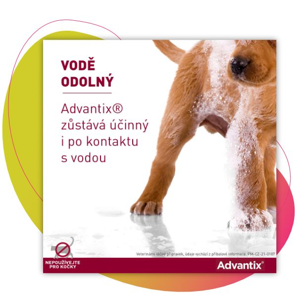Advantix