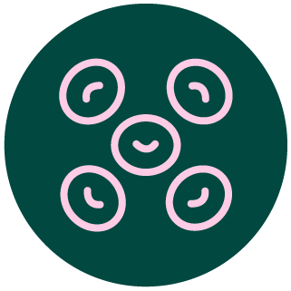 Pomoc při regeneraci