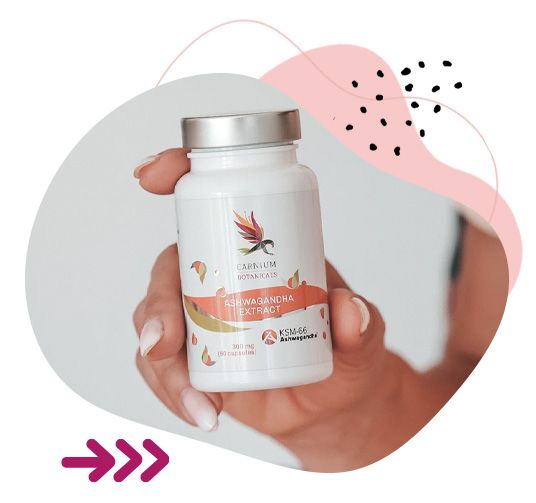 Ashwagandha, stres, úzkosti, relaxace, činnost srdce a kardiovaskulárního systému, fyzická vytrvalost