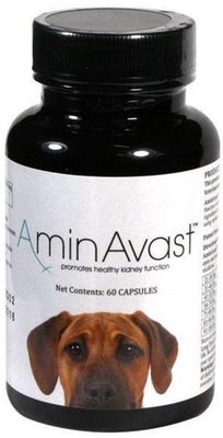 AminAvast 1000 mg pes 60 kapsúl