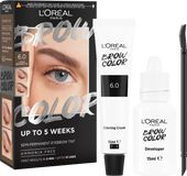 L'Oréal Paris Brow Color 6.0 Light Brunette semi-permanentní barva na obočí