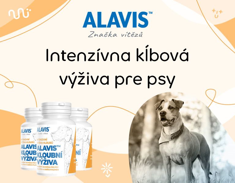 ALAVIS, kĺbová výživa, pre psy