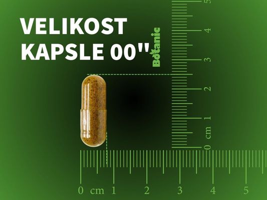 Botanic Lipozomální vitamín C s extraktem šípku 60 kapslí