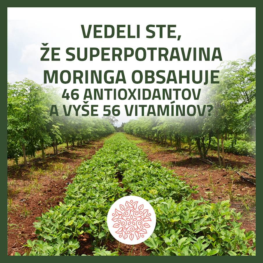Avita Moringa