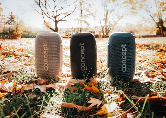 Concept BR5020 Bezdrátový reproduktor SoundJoy black